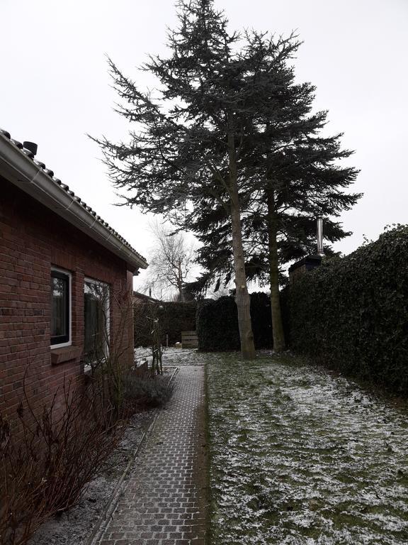 Zomerhuis De Zeedistel Egmond aan den Hoef Esterno foto